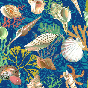 sea shells on the seabed (blue jumbo)