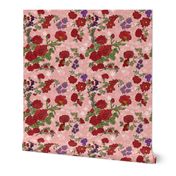 Cottage Rose, Red Flowers on Peachy Pink Star Background