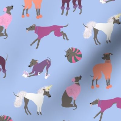 Pretty Pups, Dressed Up Greyhounds on Periwinkle