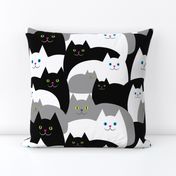 Fat Cats Watching You - 15 inch