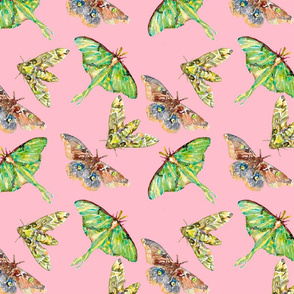 Moth fabric pink