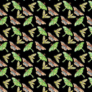 Moth fabric black tiny