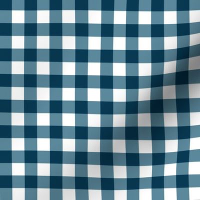 Dark Blue & White Gingham Plaid