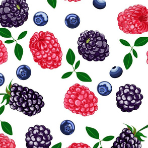  Very berry, blackberries,  raspberries, blueberry, white background.