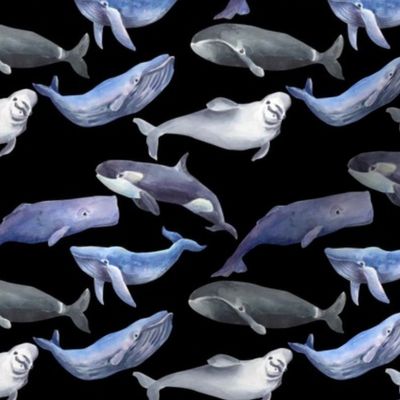 Whale fabric black tiny