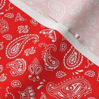 Red and White Bandana Paisely
