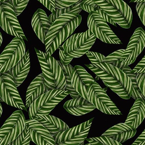 tropical  leaves black & green