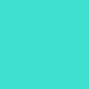 Turquoise Solid #40E0D0