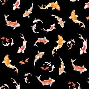 Orange koi fish on black 