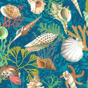 sea shells on the seabed (jumbo blue02))