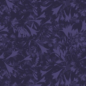 hosta-violet_purple