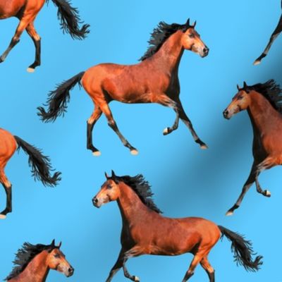 Horses copper brown blue Wallpaper