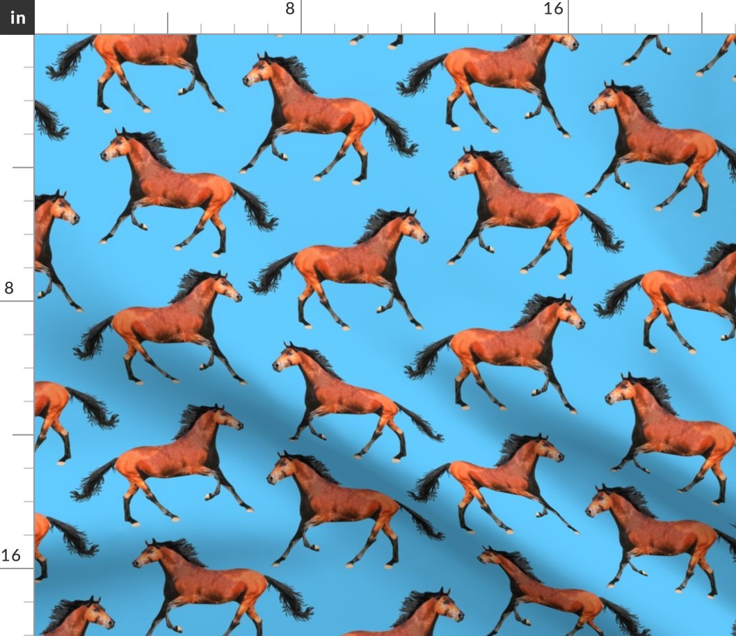 Horses copper brown blue Wallpaper
