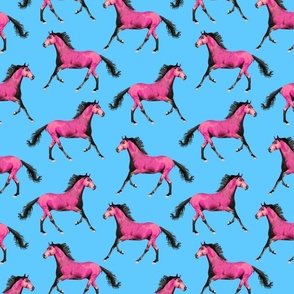 Pink horses blue