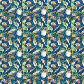 sea shells on the seabed (blue)25