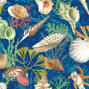 sea shells on the seabed (blue)