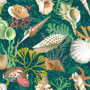 sea shells on the seabed ( green)