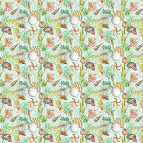sea shells on the seabed ( turquoise)25