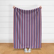 1" Vertical Patriotic Stripes