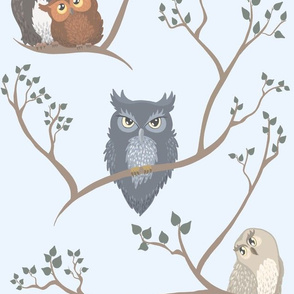 Awww Owls (pastel blue)