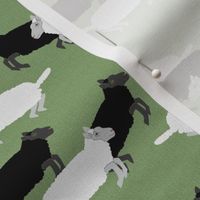 Black and White Sheep Jumping on Green
