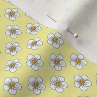 White Flowers on Yellow Background Medium Scale