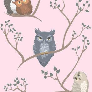 Awww Owls (pastel pink)