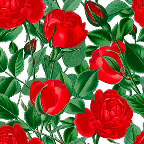 Red roses,red flowers pattern 