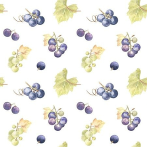 Small grapes bunches on white