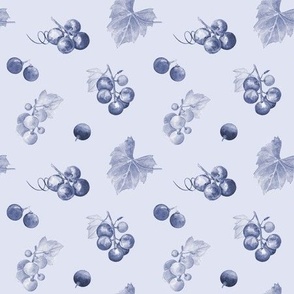 Grapes toned in blue-gray