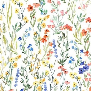 Watercolor wildflowers on white