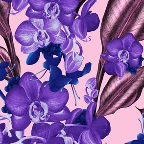 Orchids in blueberry ganache, candyfloss/Large scale