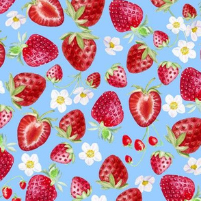 Strawberries on Light Blue