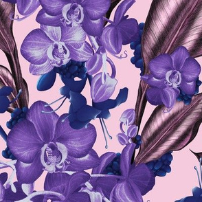 Orchids in bluberry ganache, muted/Large scale