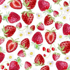 Strawberries on White