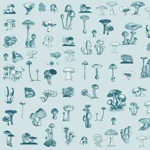 Mushrooms are Fun Guys in Vintage Blue