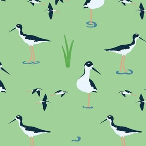 Hawaii Stilt Endangered Bird Pattern Green