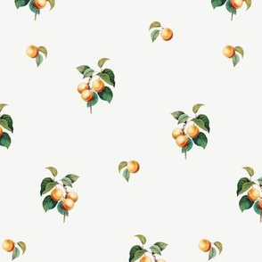 Apricots v2 White // small