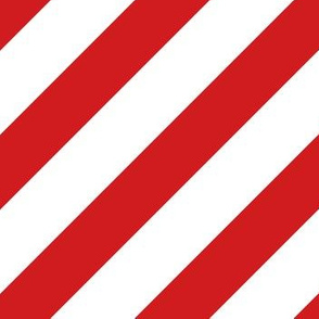 Diagonal Cabana Stripes in Red Hot + White