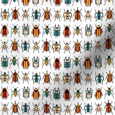 Tropical Beetles on White