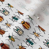 Tropical Beetles on White