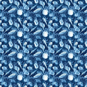 sea shelles on the seabed (M blue)25