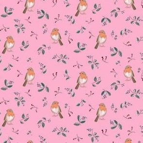 robin small pale pink