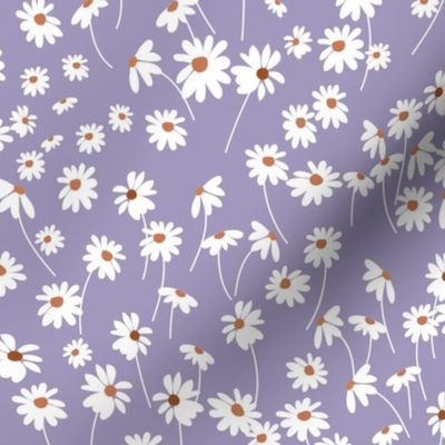 Very peri white daisies