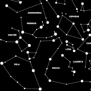 Stars Constellations on Black Background