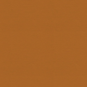 Terracotta Plain Canvas Texture