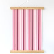 Basic Stripe-Cerise Palette