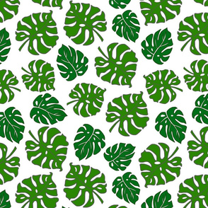 Monstera Leaves in freefall - green on white, medium/large 