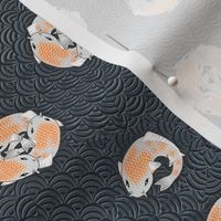 koi_dots2