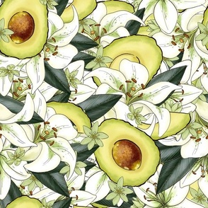 Avocados and Lilies